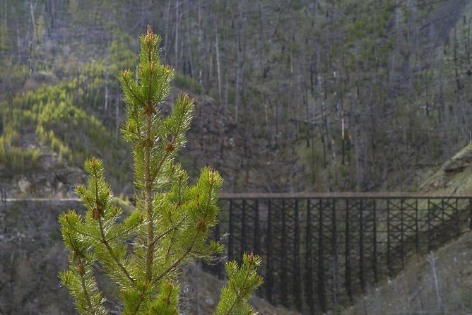 Bicyle Tour on Historical Kettle Valley Railway from Myra Canyon to Penticton - What the $184.58 price gets you