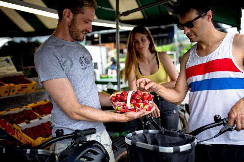 Bike/E-bike tour Plateau,MileEnd, Jean-Talon Market by Fitz - The Plateau’s Green Lanes and Street Art