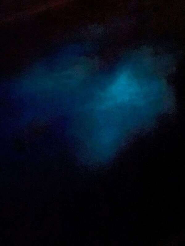 Brentwood Bay: Bioluminescence Tour - Key points before you book