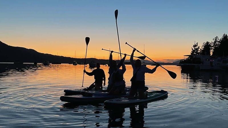 Brentwood Bay: Bioluminescence Tour - My take on the South Island SUP outing