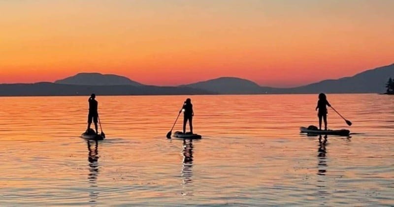 Brentwood Bay: Bioluminescence Tour - Why the water glows after sunset