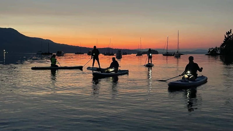Brentwood Bay: Bioluminescence Tour - Five minutes to get comfortable and safe