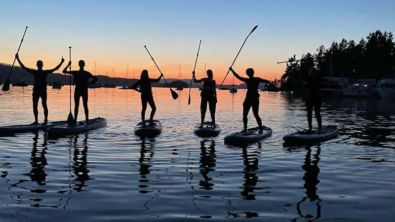 Brentwood Bay: Bioluminescence Tour - What the glow looks like in real conditions