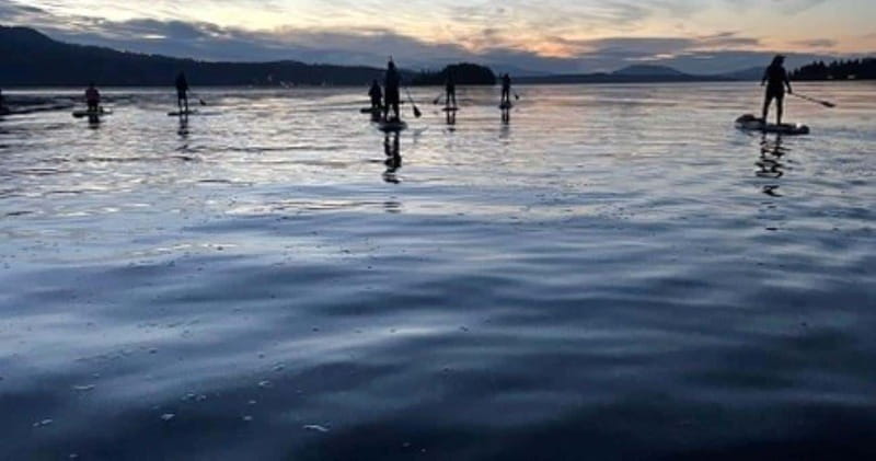 Brentwood Bay: Bioluminescence Tour - Who will enjoy this most