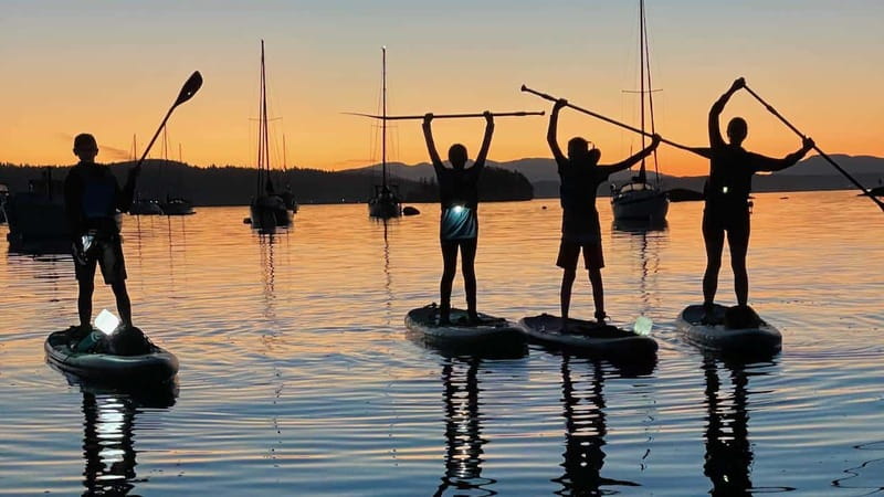 Brentwood Bay: Bioluminescence Tour - Timing, value, and small practical details