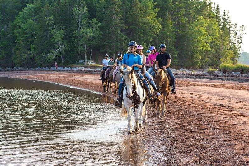 Brudenell: Family-Friendly Horse Ride goes on the Beach - Key points to know before booking