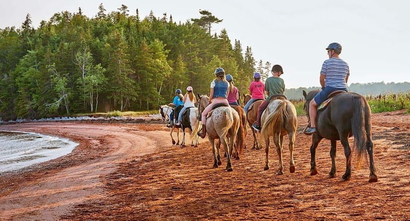 Brudenell: Family-Friendly Horse Ride goes on the Beach - From Brudenell Boulevard to the riding stables
