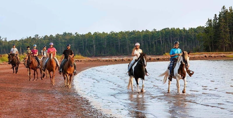 Brudenell: Family-Friendly Horse Ride goes on the Beach - Reaching the Prince Edward Island beach