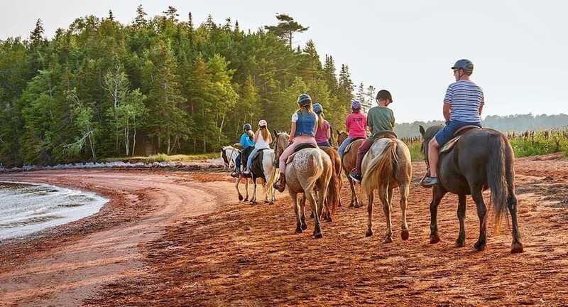 Brudenell: Family-Friendly Horse Ride goes on the Beach - The strict arrival policy deserves attention