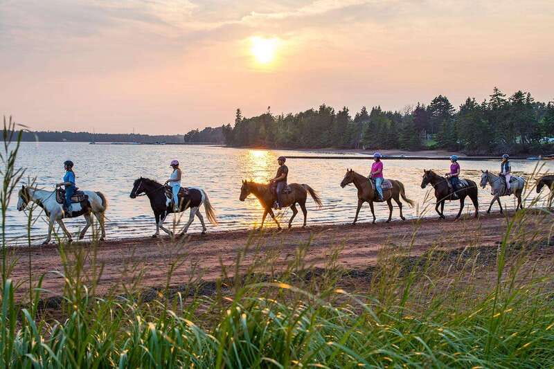 Brudenell: Family-Friendly Horse Ride goes on the Beach - The first stretch follows woods and a river