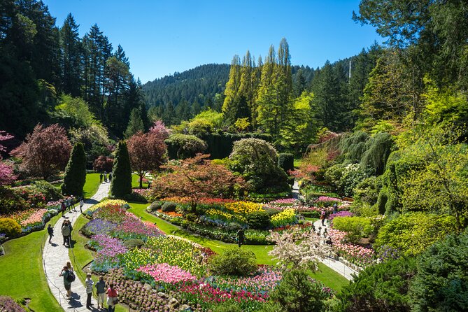 Butchart Gardens and Victoria Sightseeing Tour from Vancouver - Butchart Gardens after the city crowds thin