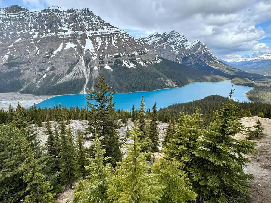 Calgary Banff: Columbia Icefield, Skywalk and Lakes Day Tour - Why this $49 day trip covers so much ground
