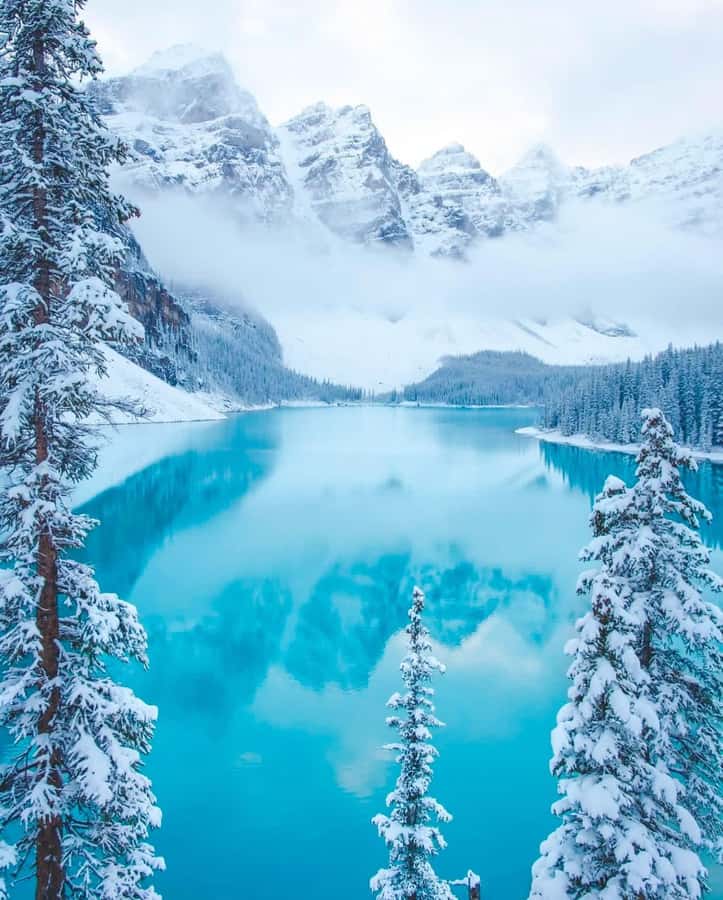 Calgary, Banff: Lake louise , Moraine ,Emerald Lake day Tour - Lake Louise gives you 45 minutes at a famous shoreline