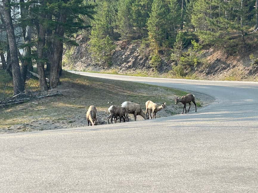 Calgary/Canmore/Banff: BEST of BANFF with LAKES Group Tour - Lake Minnewanka adds scale and open space