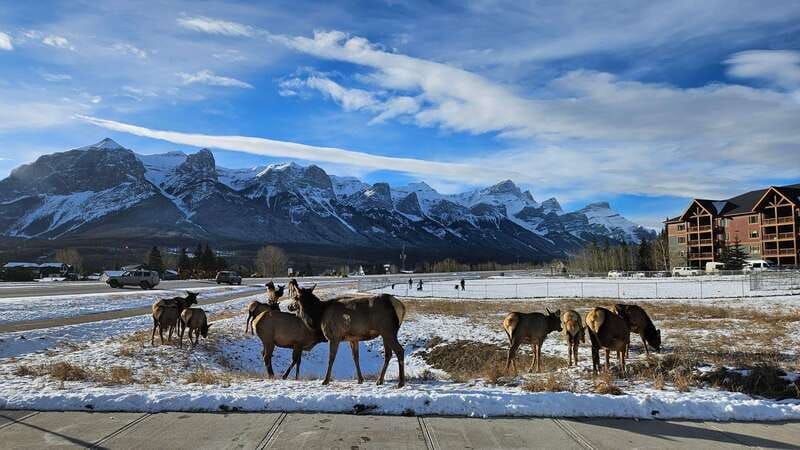 Calgary: Canmore, Banff, Lake Louise - Gondola Included - Winter views at Two Jack Lake