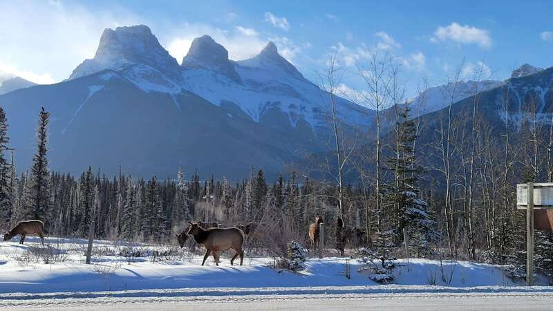 Calgary: Canmore, Banff, Lake Louise - Gondola Included - Canmore adds a relaxed final stop
