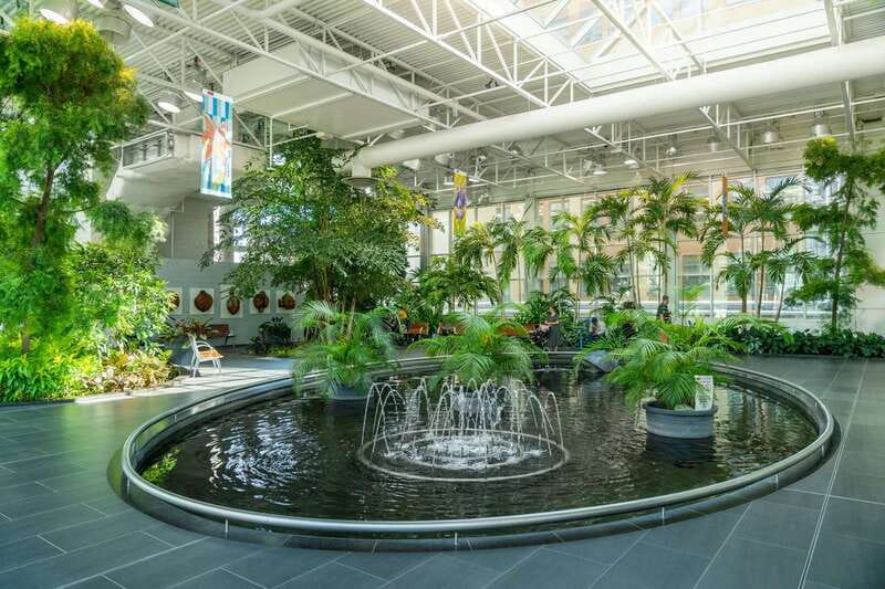 Calgary: City Highlights Walking Tour | 3-Hour - Key points to know before you book