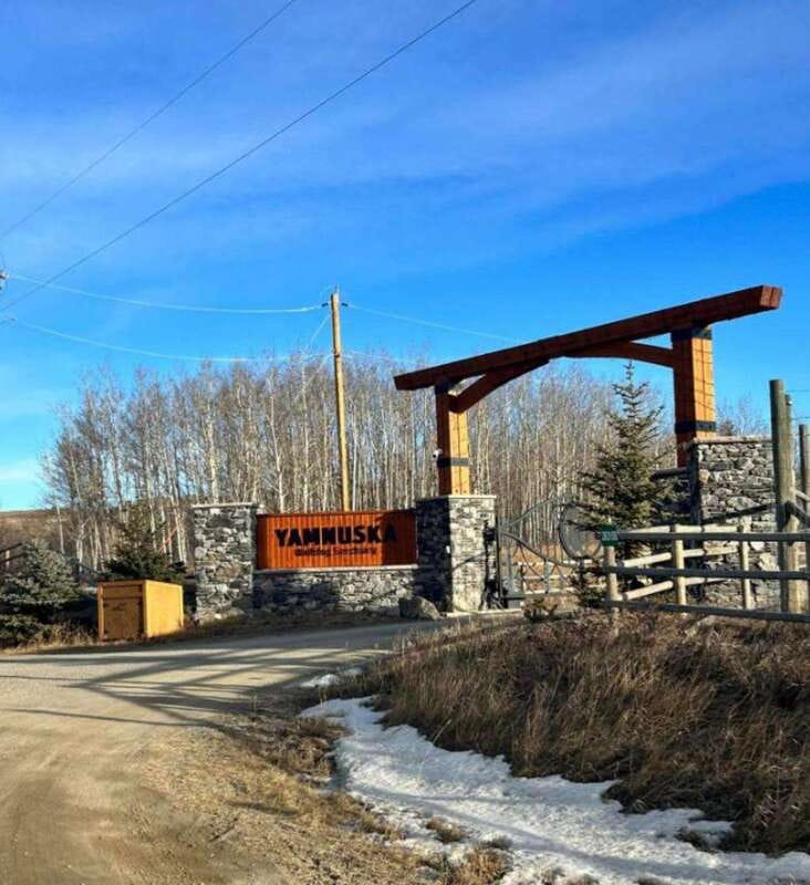 Calgary City Tour & Yamnuska Wolfdog Sanctuary Private Tour - What the private vehicle adds