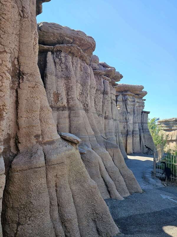 Calgary City Tour & Yamnuska Wolfdog Sanctuary Private Tour - Is $307 good value for your group?