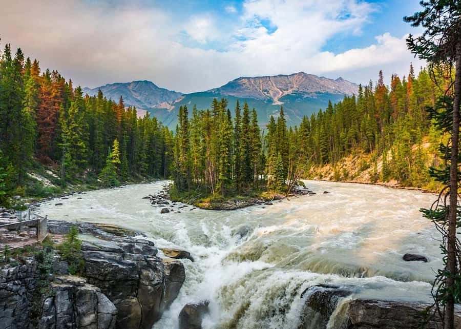 Calgary: Day Trip to Jasper with Lunch - A big Rockies day from Calgary