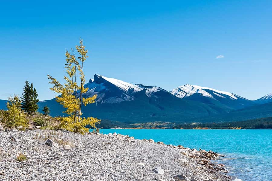 Calgary: Day Trip to Jasper with Lunch - Abraham Lake is the picnic centerpiece