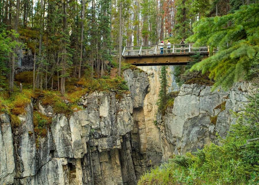 Calgary: Day Trip to Jasper with Lunch - The road time is part of the calculation