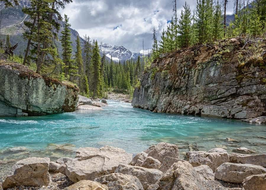 Calgary: Radium Hot Springs & Marble Canyon Day Trip - Seven bridges through Marble Canyon