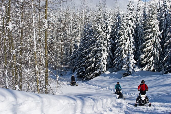 Callaghan Cruiser Snowmobile Tour - Who will enjoy this Callaghan ride?
