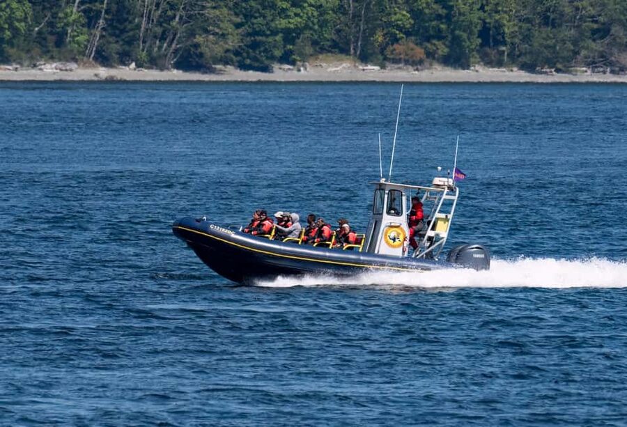 Campbell River: 4 Hour Whale & Wildlife Zodiac Boat Tour - Across Discovery Passage and the Northern Gulf Islands