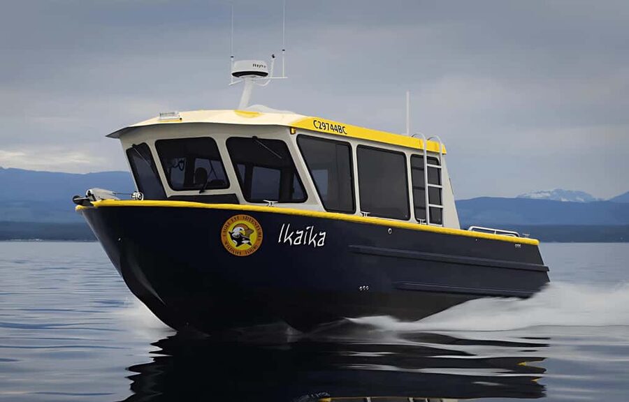 Campbell River: 6 Hour Covered Whale Watching Tour w/ Lunch - What You May See Beyond Whales