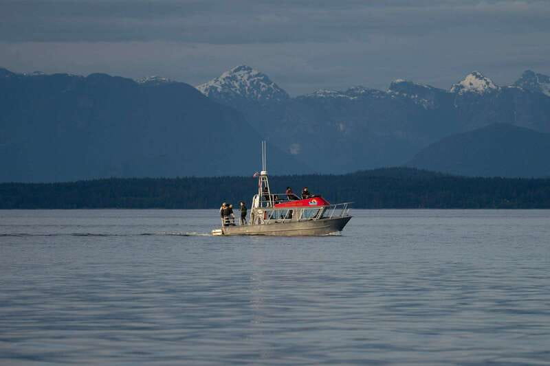 Campbell River: 6-Hour Whale Watching Boat Tour - What the $245 price includes