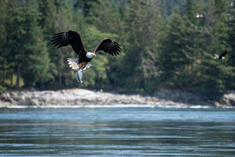 Campbell River: 6-Hour Whale Watching Boat Tour - Who will enjoy this boat trip most
