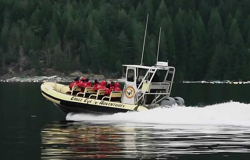Campbell River: 6 Hour Zodiac Whale Watching Tour w/ Lunch - What the six-hour schedule feels like