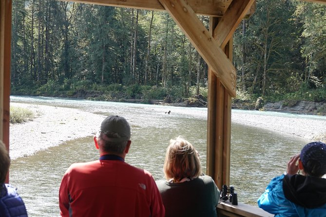 Campbell River: Bute Inlet Grizzly-Watching Tour & Boat Ride - Why Bute Inlet is worth the long boat ride