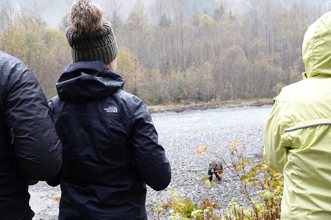 Campbell River: Bute Inlet Grizzly-Watching Tour & Boat Ride - Learning with Homalco First Nation guides