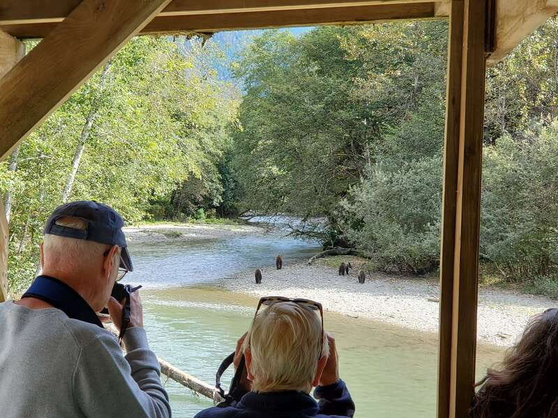 Campbell River: Grizzly Bear-Watching Tour with Lunch - From Campbell River to Bute Inlet