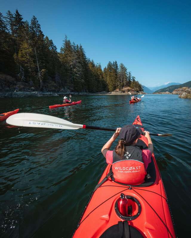 Campbell River: Kayaking and Whale Watching Tour - The kayak portion: quiet water and remote shorelines