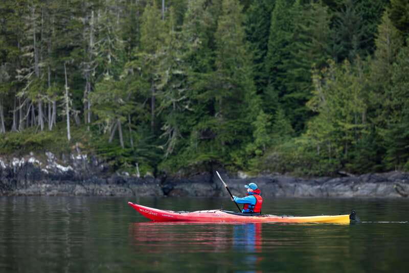 Campbell River: Kayaking and Whale Watching Tour - Whale watching from the covered boat