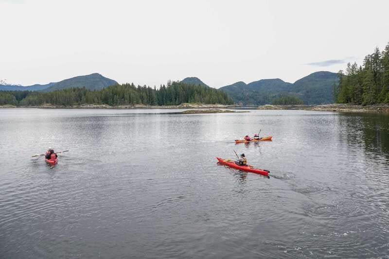 Campbell River: Kayaking and Whale Watching Tour - Who should book this experience
