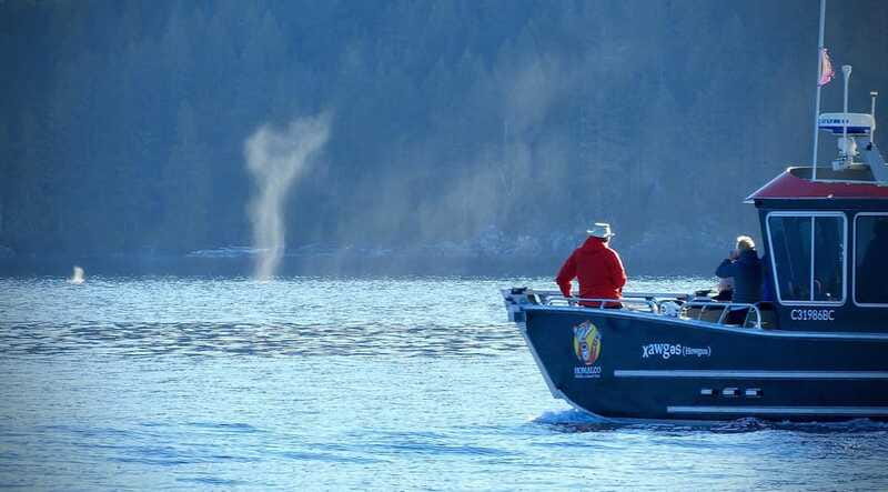 Campbell River: Salish Sea Whale Watching Adventure - What a typical four-hour route feels like