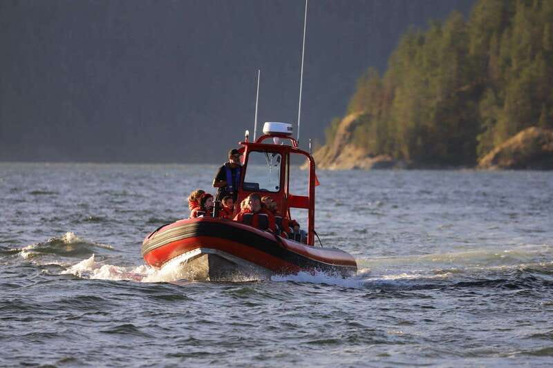 Campbell River: Whale & Wildlife Discovery Cruise - Weather, Windows, and Realistic Expectations