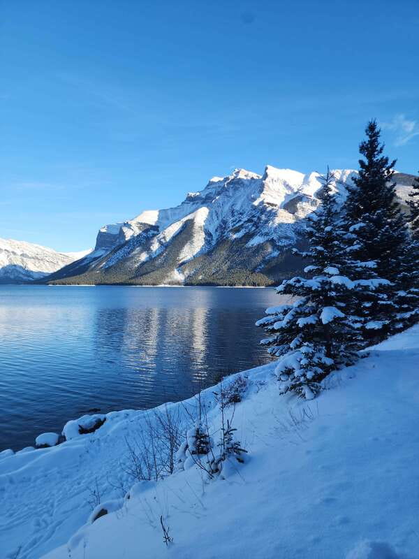 Canmore/Banff: Explore Banff & Wildlife - Surprise Corner gives you Banff’s classic first view