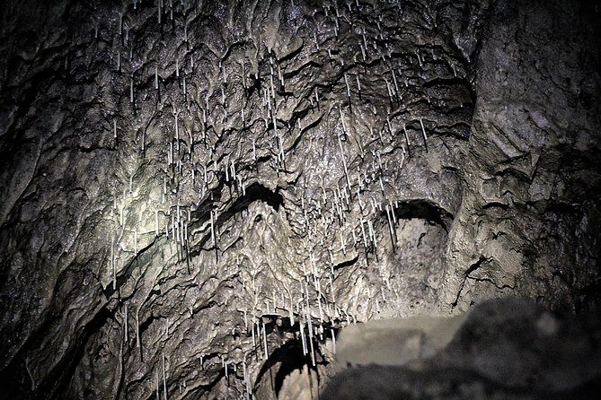 Canmore Caving Explorer Tour - Is $111.90 good value?