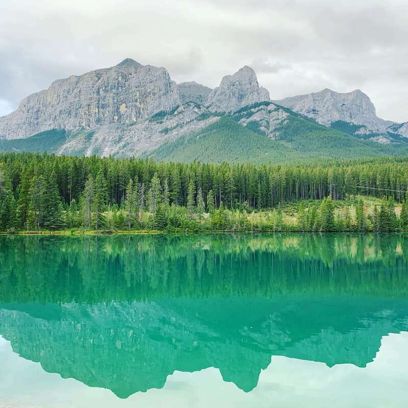 Canmore: PRIVATE SAFARI Drive to BANFF Park & Nature Walk - The scenic drive: mountain views with time to search for wildlife