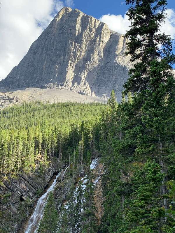 Canmore: PRIVATE SAFARI Drive to BANFF Park & Nature Walk - The one-hour nature walk is tailored, not fixed