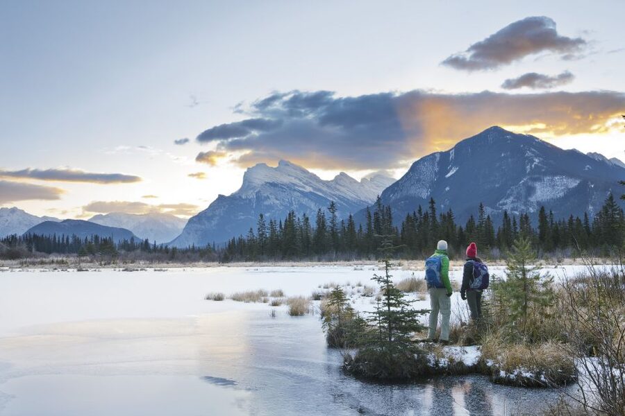 Canmore: PRIVATE SAFARI Drive to BANFF Park & Nature Walk - Wildlife sightings depend on patience and timing