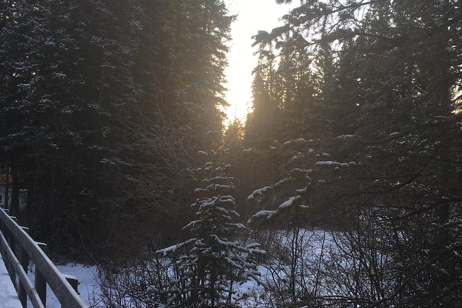 Canmore: Stargazing and Nature by Nightfall Walking Tour - 2hr - Stargazing away from city lights
