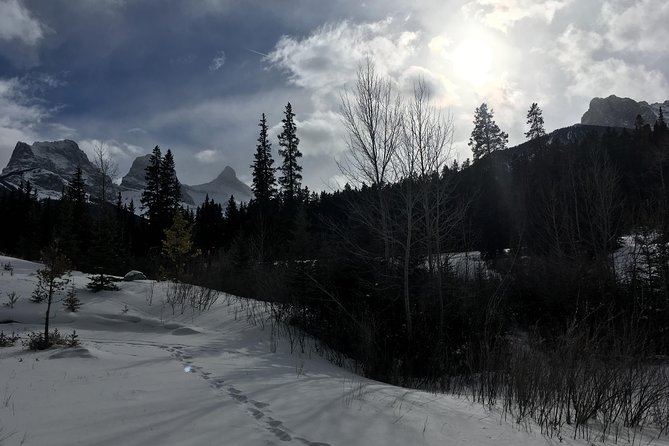 Canmore: Stargazing and Nature by Nightfall Walking Tour - 2hr - What the $69.81 price includes