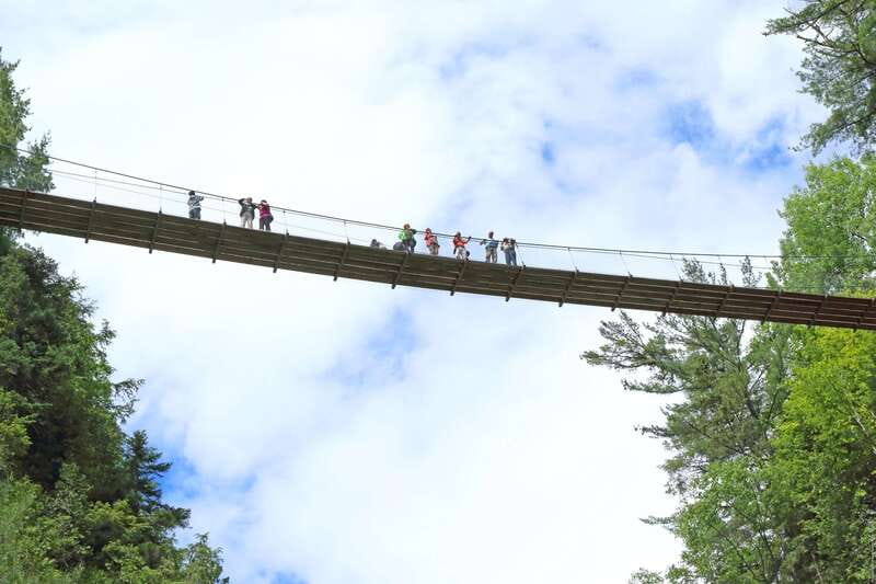Canyon Sainte-Anne: Park Admission Ticket - Three suspension bridges, with access subject to change