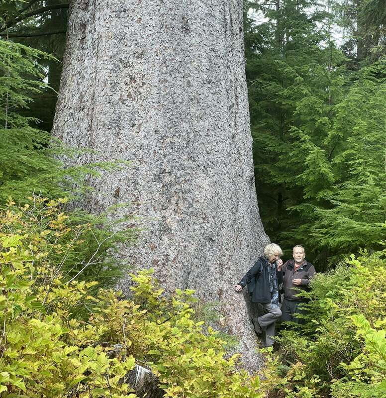 Cape Scott: San Josef Bay Day Hike with Scenic Drive - Key points to know before booking